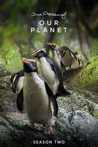 Our Planet II