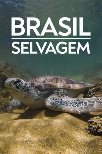 Coastline of Brazil