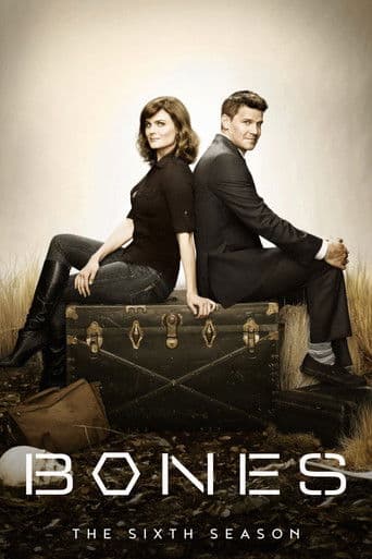 Season 6