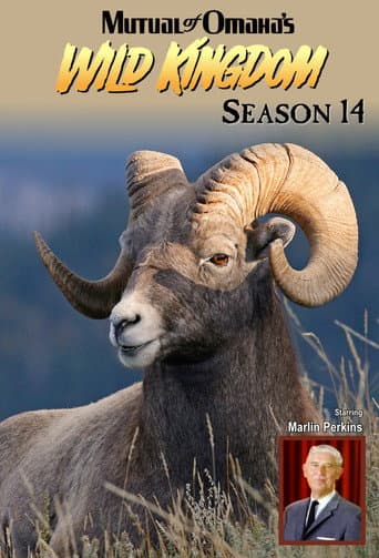 Season 14