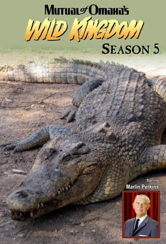 Season 5
