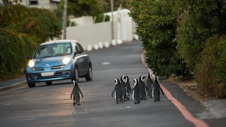 Commuters