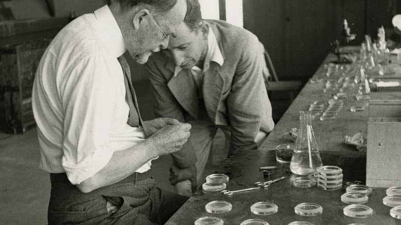 Dawn of the Modern Age of Genetics