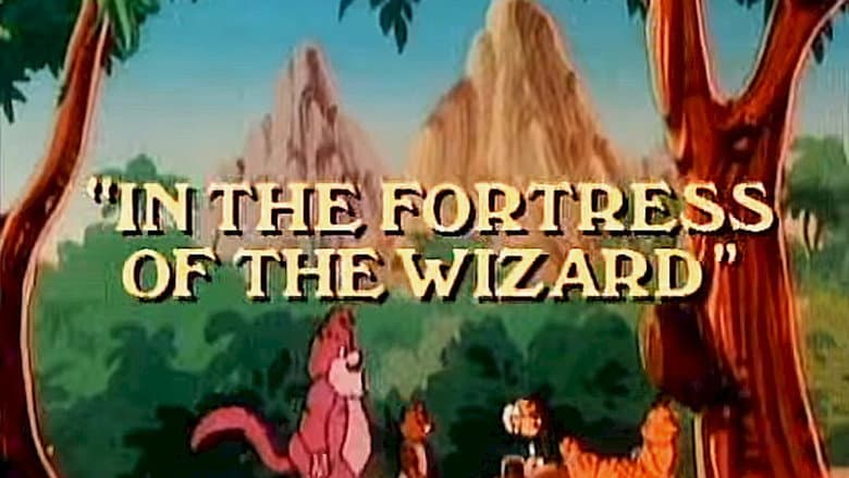 In the Fortress of the Wizard