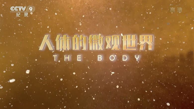 人体的微观世界