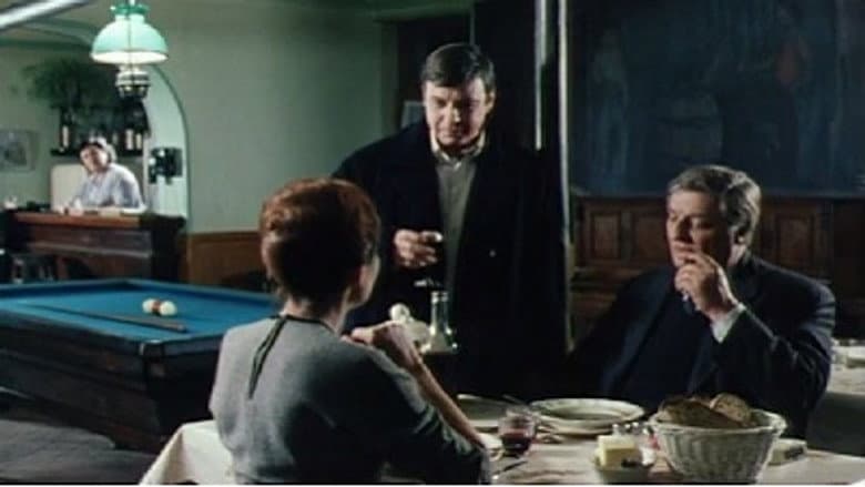 Maigret Goes Home