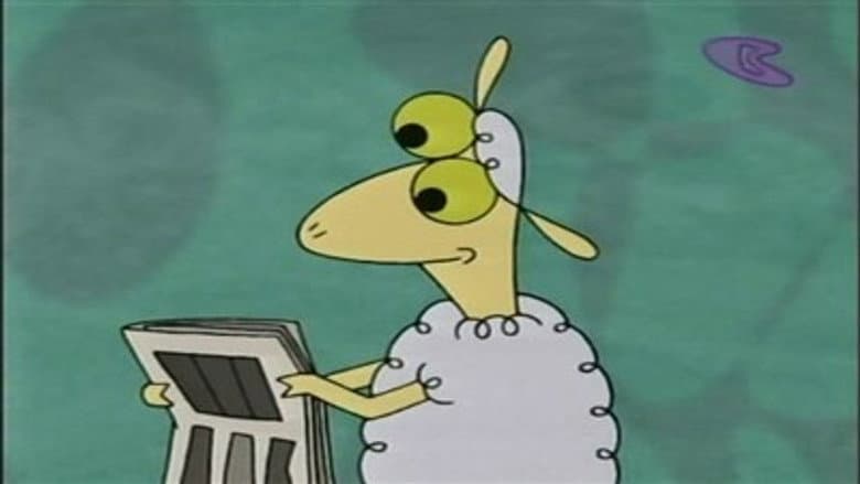 My, How Ewe Have Changed