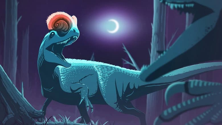 Hunted by Moonlight