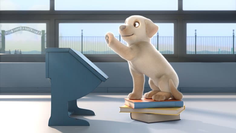 Pip