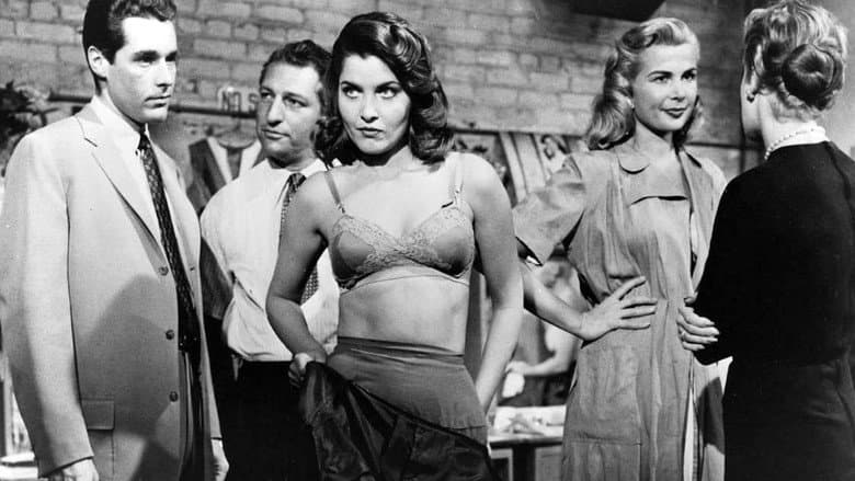 The Garment Jungle