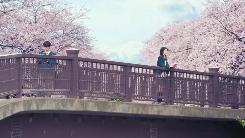 Let Me Eat Your Pancreas