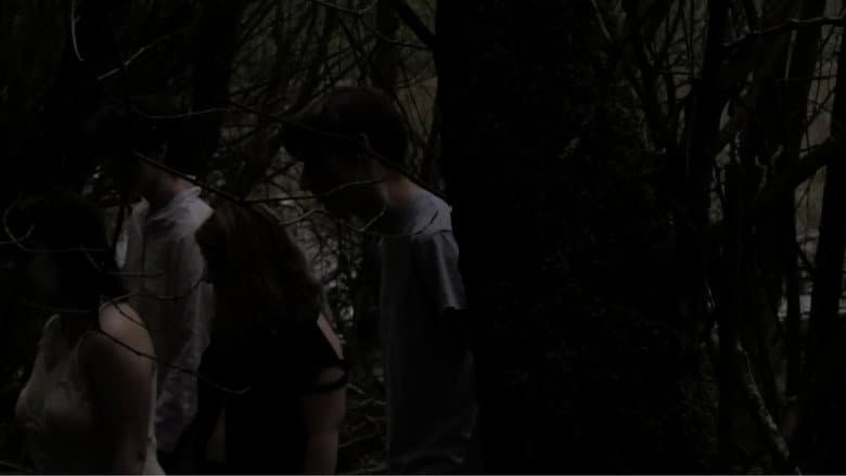 The Creek