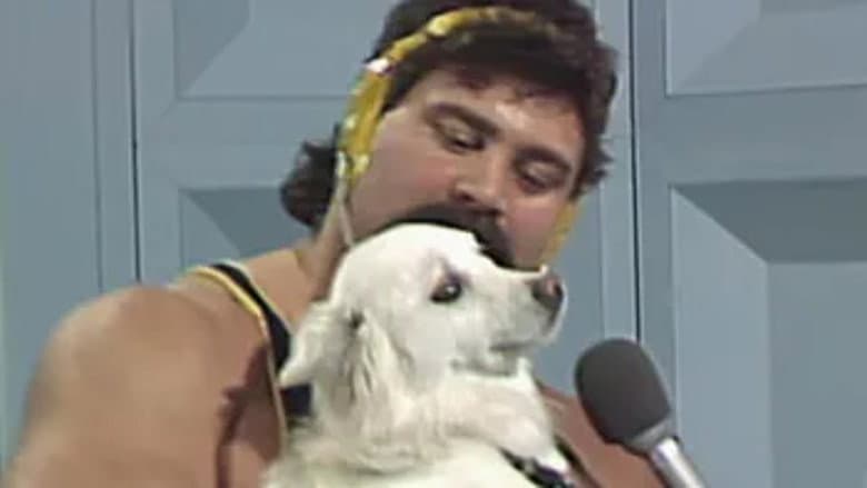 World Championship Wrestling - Jan. 28, 1989