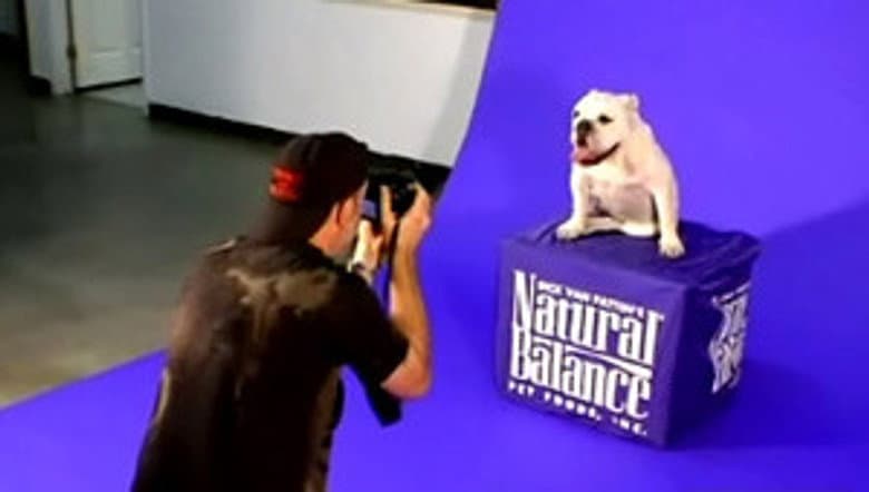 Meaty Goes To Hollywood