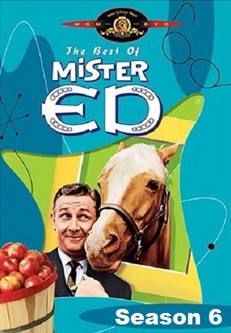 Ed the Counterspy