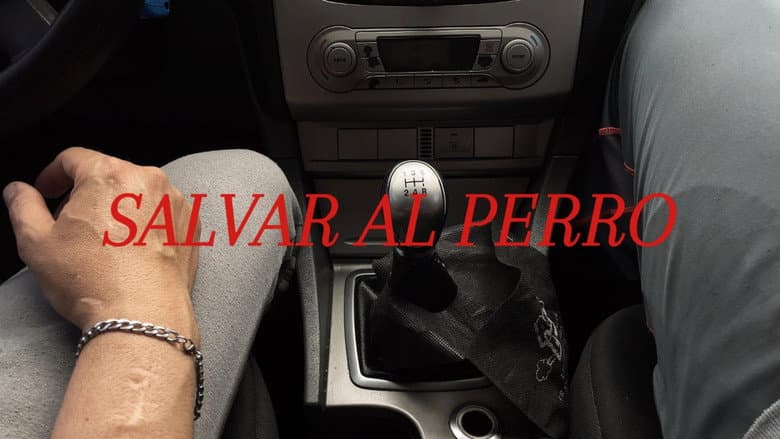 Salvar al Perro