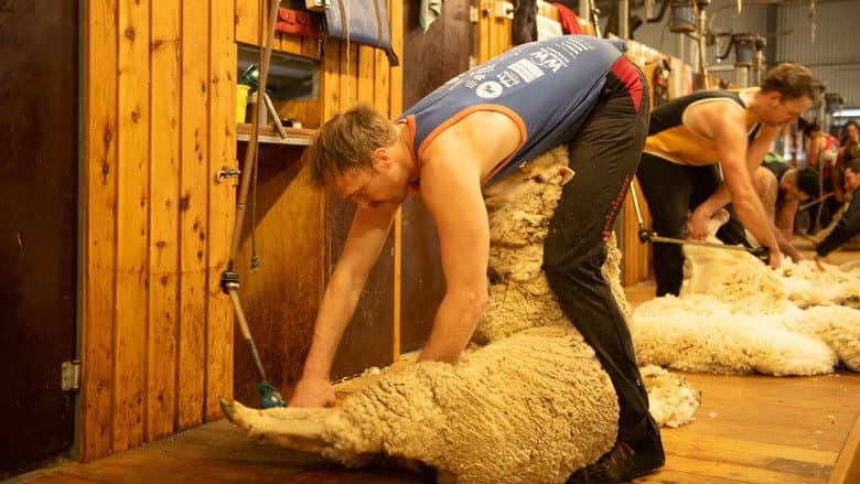 Shearers, NSW