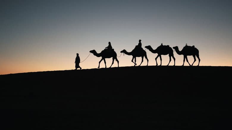 ...Only silk was transported on the Silk Road?
