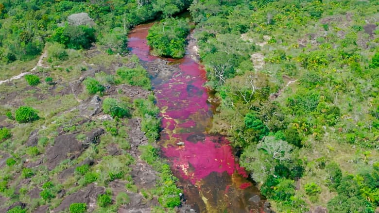 Caño Cristales — The Five-Colored River