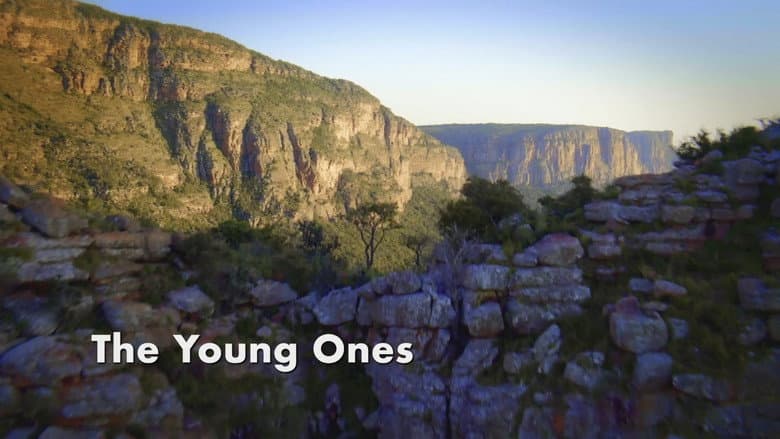 The Young Ones