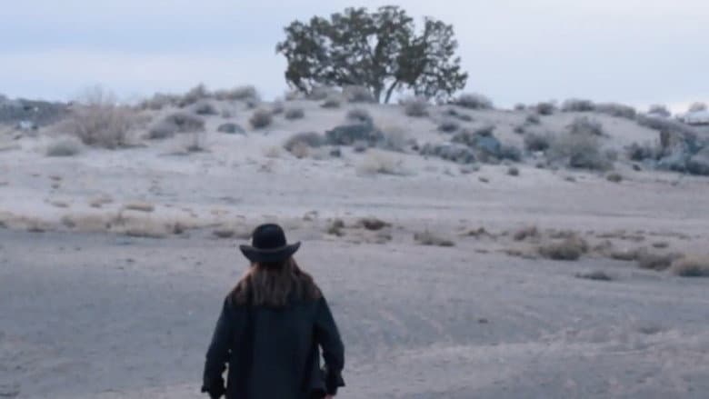 Man in the Mesa