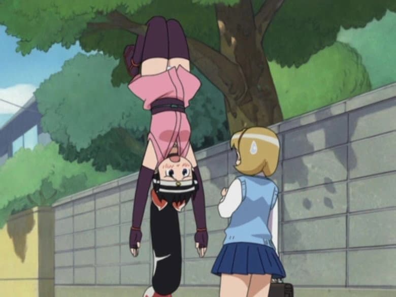 Shinobu, the Ninja Apprentice, Appears