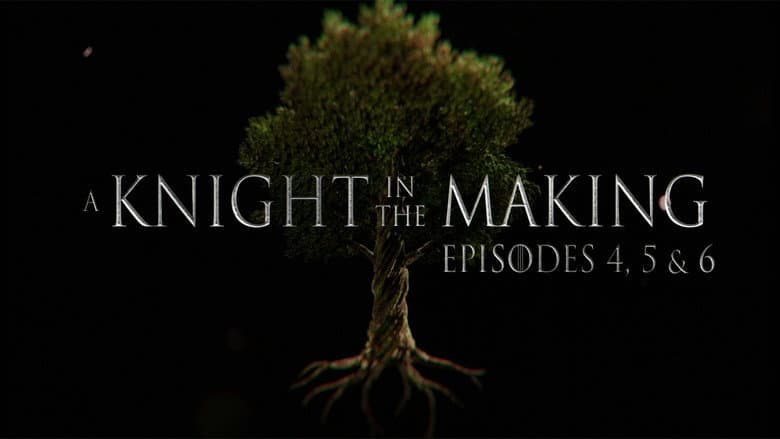 Episodes 4, 5, and 6