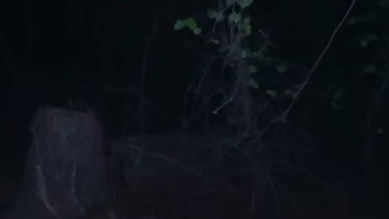 Part 5