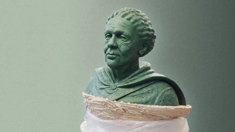 David Harewood: In the Shadow of Mary Seacole