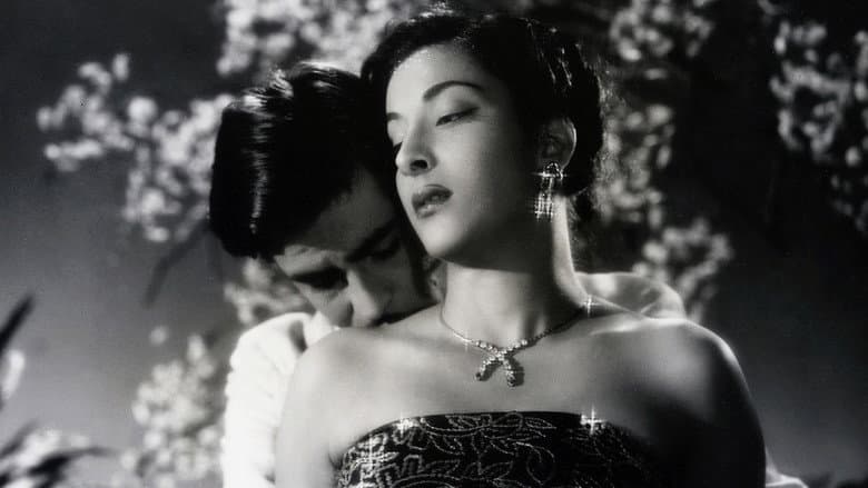 Awaara