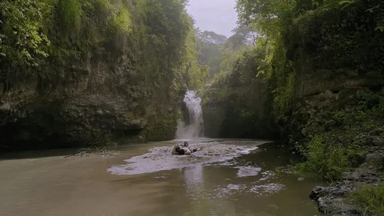 Salikmata