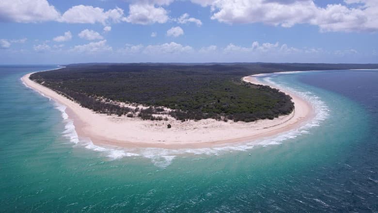 Island Castaways