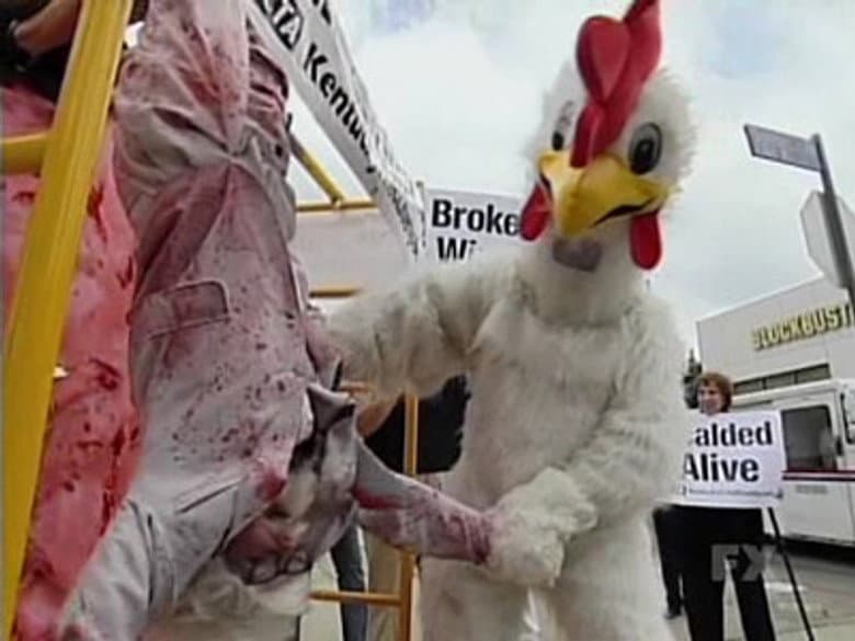 Animal Rights