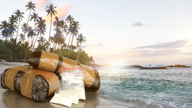 Cartel Paradise - Fiji
