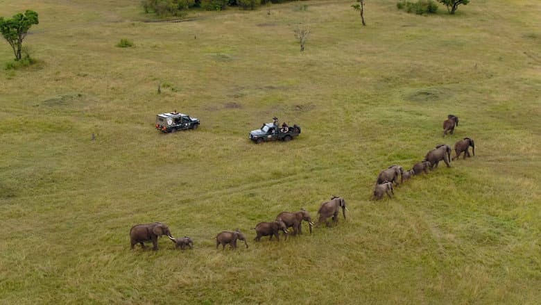 Africa