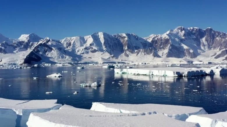 What if the ice disappeared?