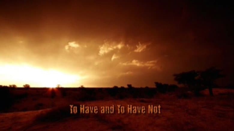 To Have and to Have Not