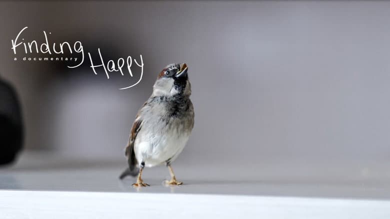 Finding Happy