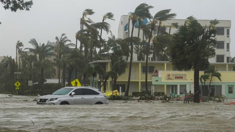 Category 5: Fight to Survive