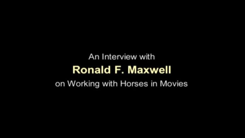 Working with Horses in Movies