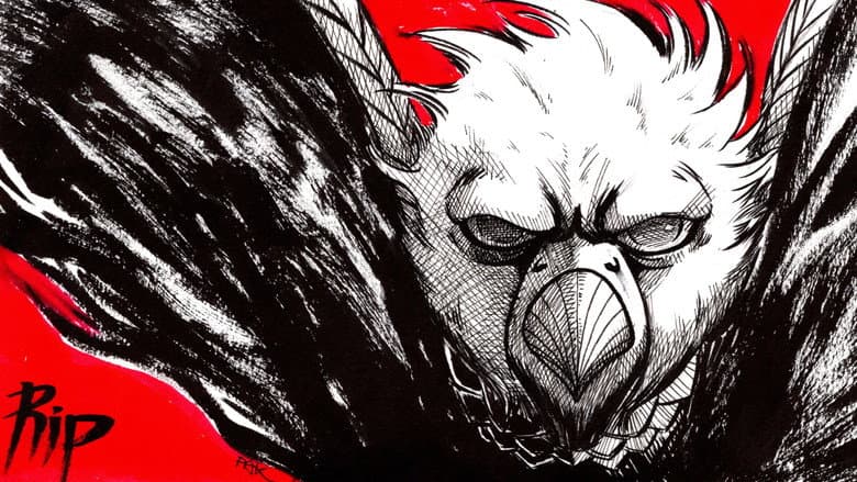 Rip the Falcon