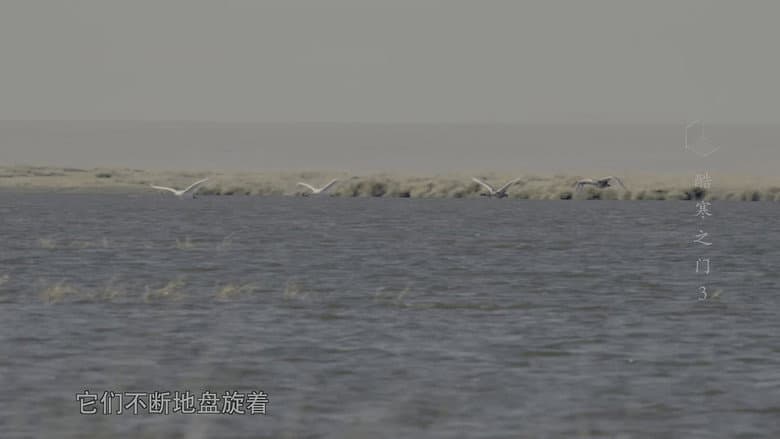 Episode 3