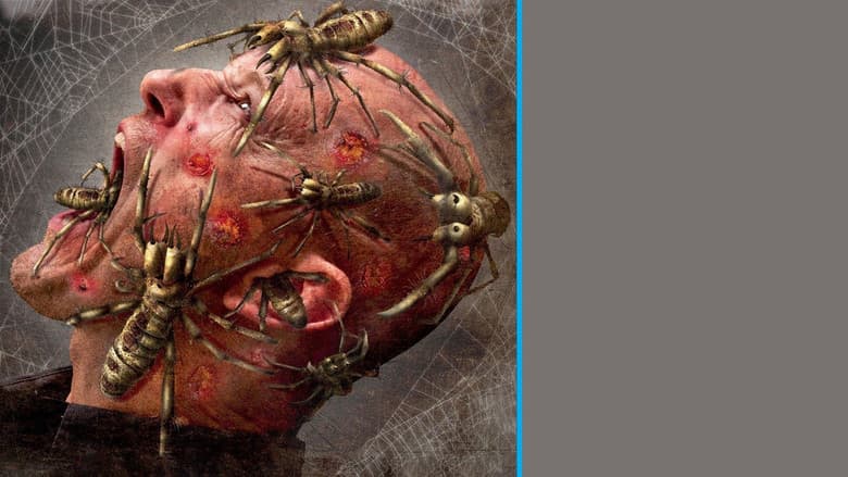 Camel Spiders
