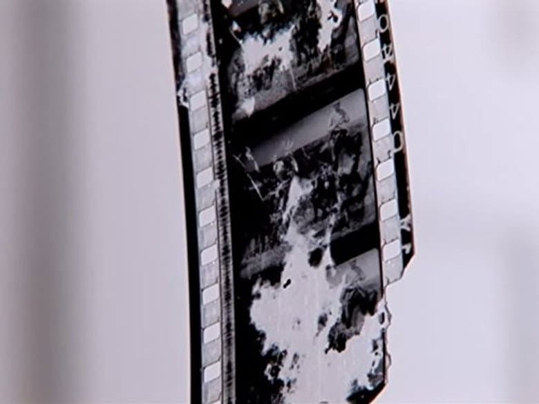 New Boundaries: World Cinema in Africa, Asia & Latin America