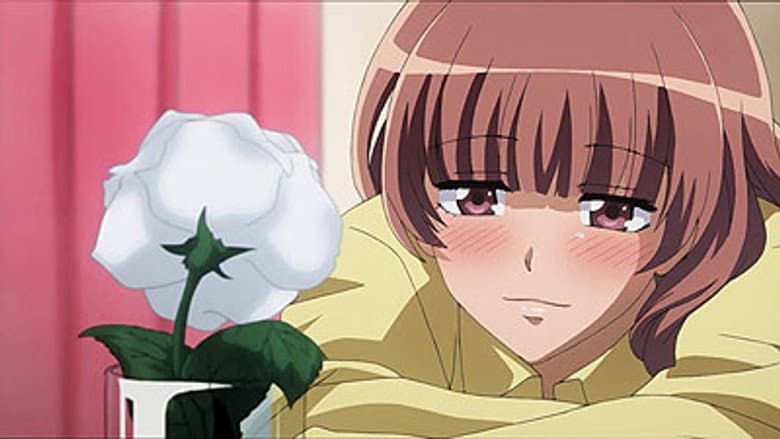 Sakura's Indie-Label Love