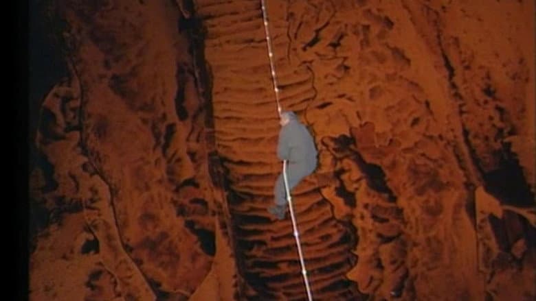 Stomaco - Intestino
