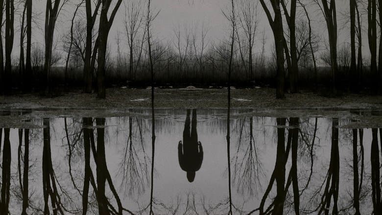 The Outsider