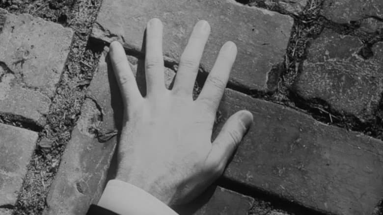 The Garden, the Artist, & the Vampire