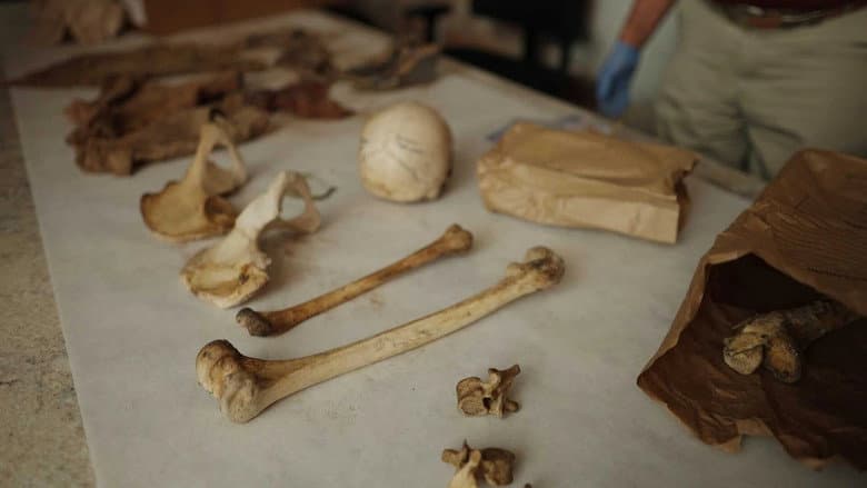 A Box Of Bones