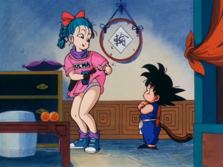 The Secret of the Dragon Balls